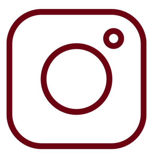 29_01_LASME_Icon_instagram.png